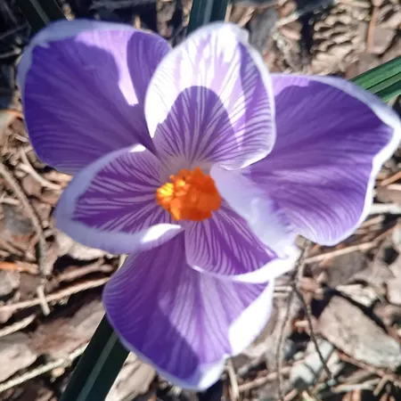 Reymonta Apartament *